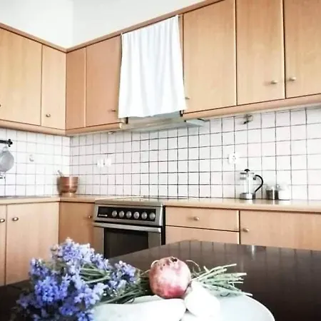 Theony Studio Agios Sostis (Tinos)